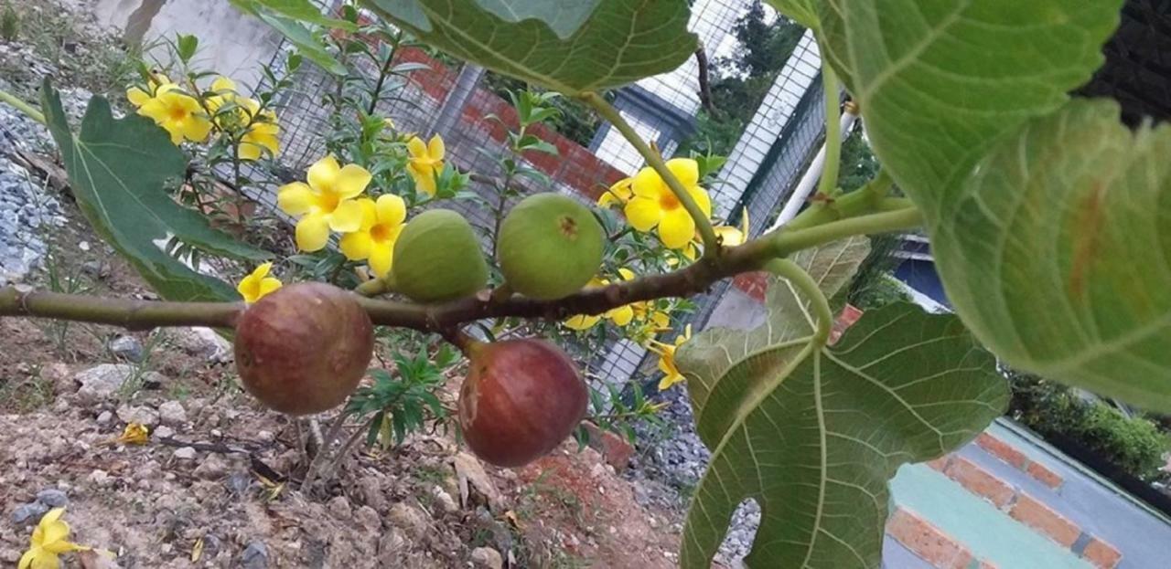 Seri Kenangan Kota Samarahan エクステリア 写真