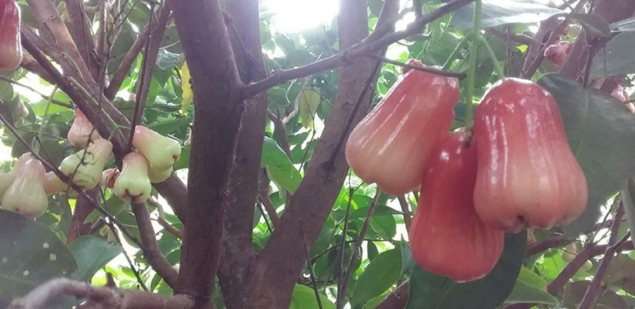 Seri Kenangan Kota Samarahan エクステリア 写真